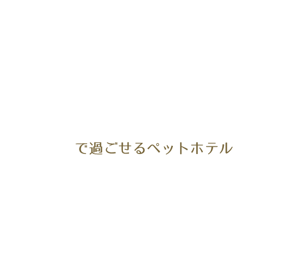 ケージレスのペットホテル